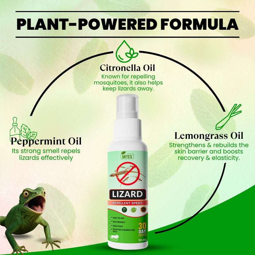 LIZARDGAURD™ - LIZARD REPELLENT SPRAY (BUY 1 GET 2 FREE) (PACK OF 3)
